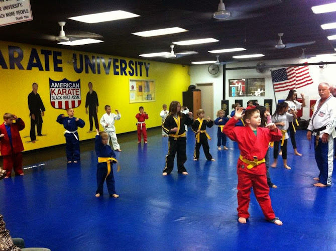 The Karate University