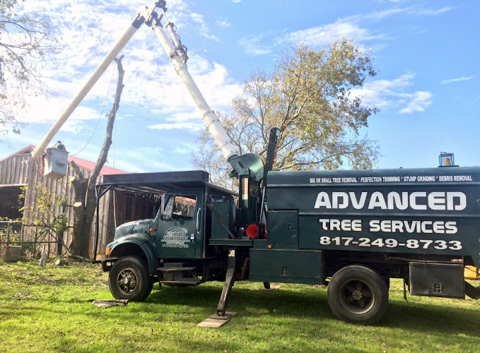 Advanced Tree Services