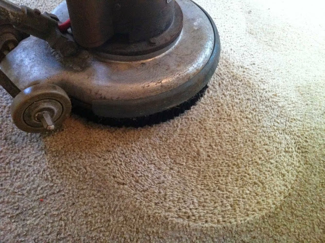 All Expert Restoration & Carpet Cleaning