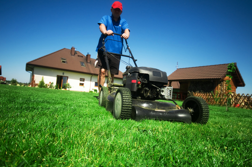 DFW Lawn Company